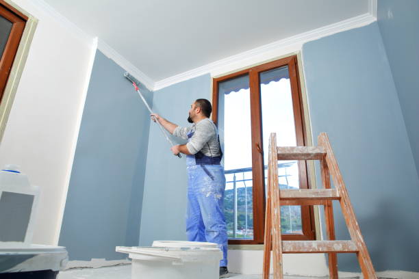 Best Wallpaper Removal and Painting  in Omaha, NE